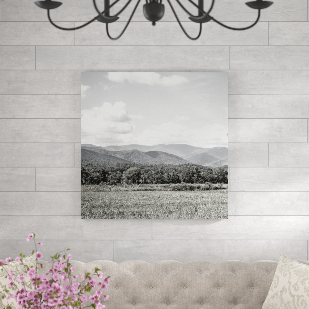 " Mountain Ridge Black White " Millwood Pines 