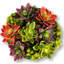 Arrangement de piédestal en bois Timeless Living