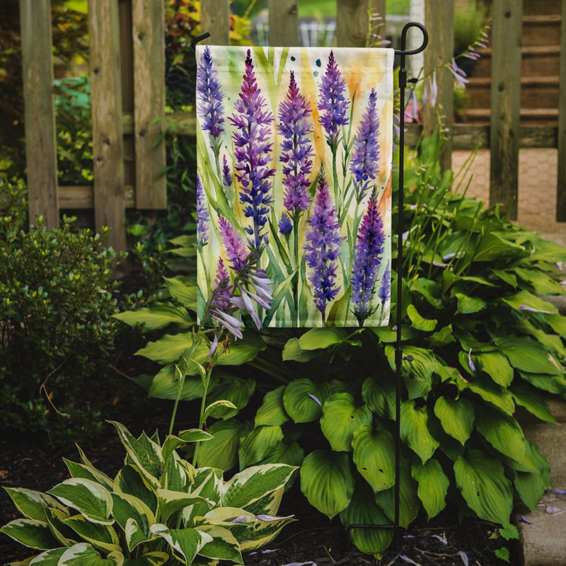 Orchidées paphiopedilum, drapeau du jardin, Fleurs de liatris