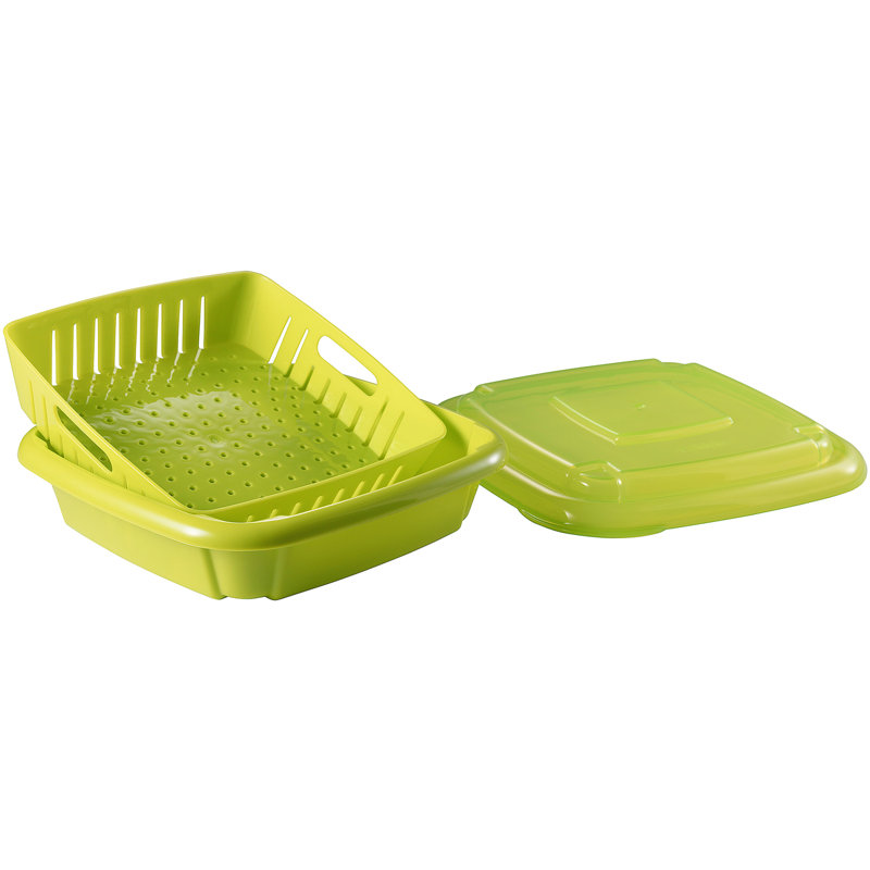 Scheidt Food Storage Container, Green/Blue