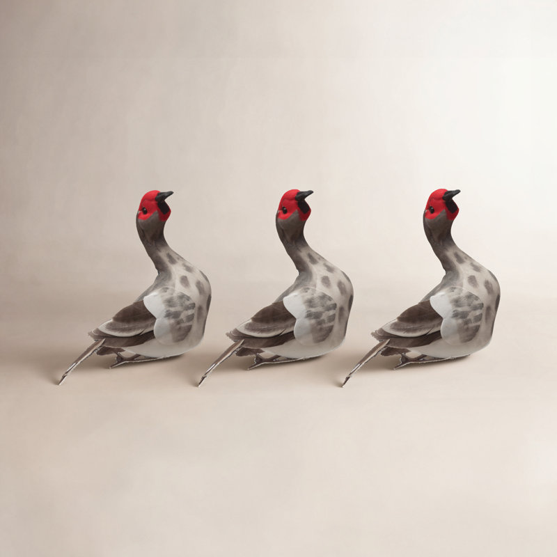 Ornement suspendu Muscovy Duck