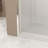 Tempered Glass Pivot Shower Door