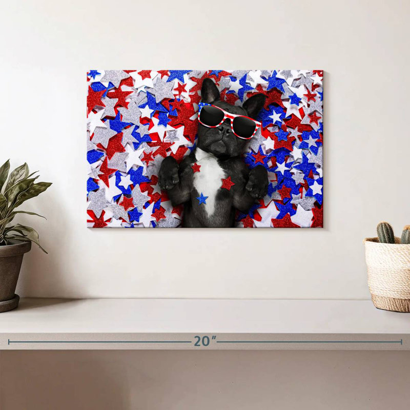 Bouledogue français américain Brampt, H 8 po x l 12 po