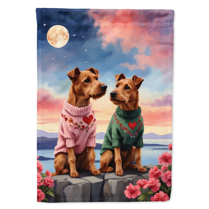 Drapeau pour chien double face H 40 po x l 28 po