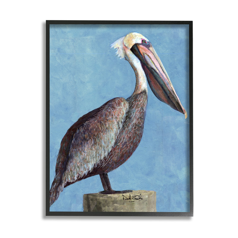 «Blue Pelican Portrait» par David Sands, Giclée encadrée noir minuit, H 14 po x l 11 po x P 1,5 po