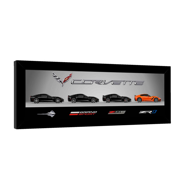 " 2019 Corvettes "