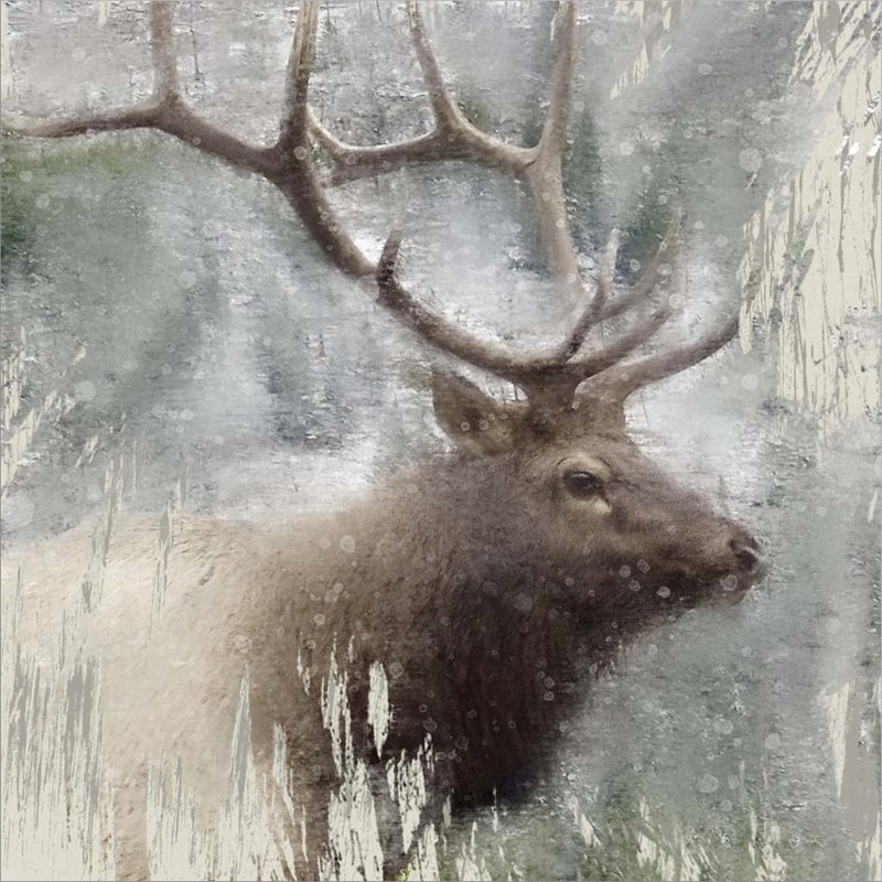 Décoration murale faune