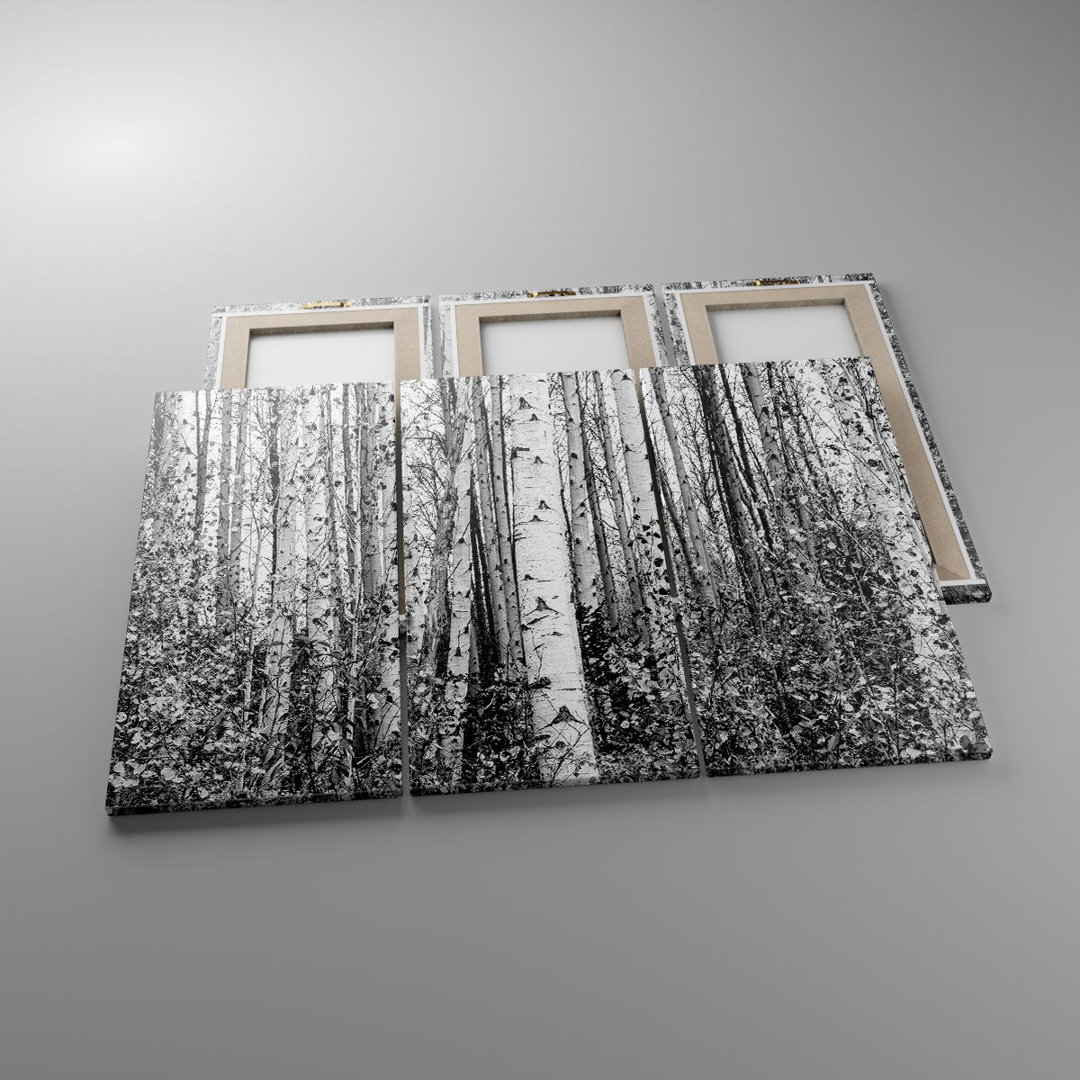 3-tlg. Leinwandbilder-Set Birch Trees Forest Monochrome