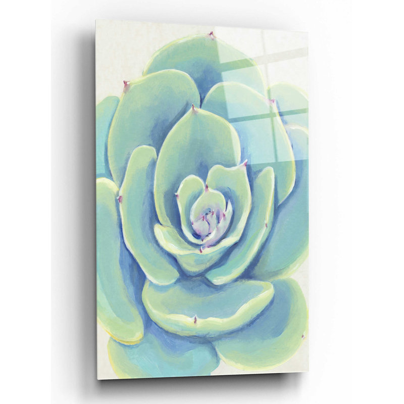 «Pastel Succulent IV» par Tim O'Toole, H 16 po x l 12 po x P 0,13 po