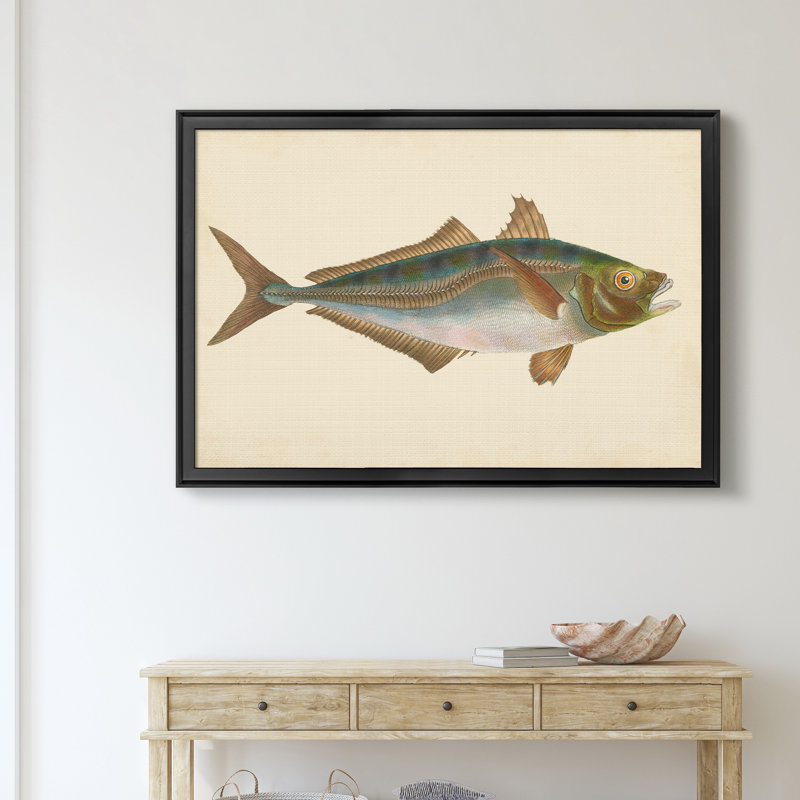 «Donovan Antique Fish III», impression sur toile encadrée, H 26,5 po x l 36,5 po x P 1,5 po, Noir