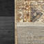DAKOTA 9X12 6641-899 BEIGE / MULTI-117273838