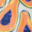 icon Papaya Fruit Print Cushions
