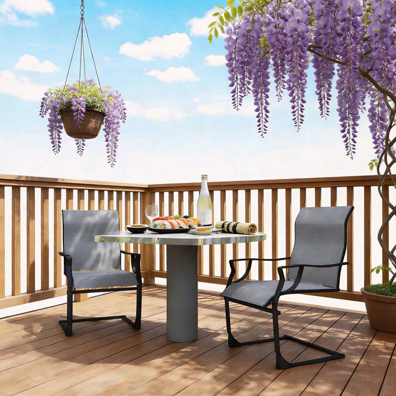 Ensemble de 2 chaises de patio C-Spring Micro-Swing