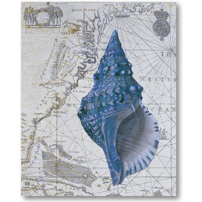 « coquillage collection i », impression sur toile