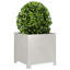 Planter Box-104931244-104931241