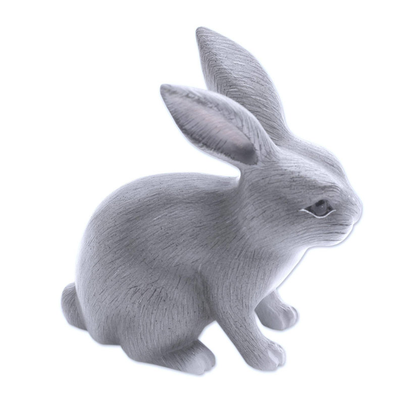 Lapin curieux Brauer, Gris