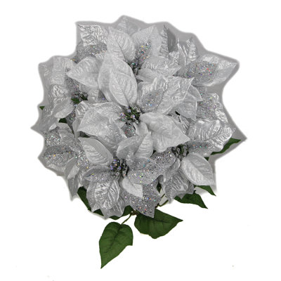 Arbuste faux poinsettias à 7 tiges
