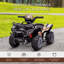 Goodner Isabelle & Max Battery Powered Ride On-422984616