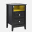 15.75 Inch 2 Drawer Vredenburgh With Shelf Power Outlets And RGB LED Lights-310336290