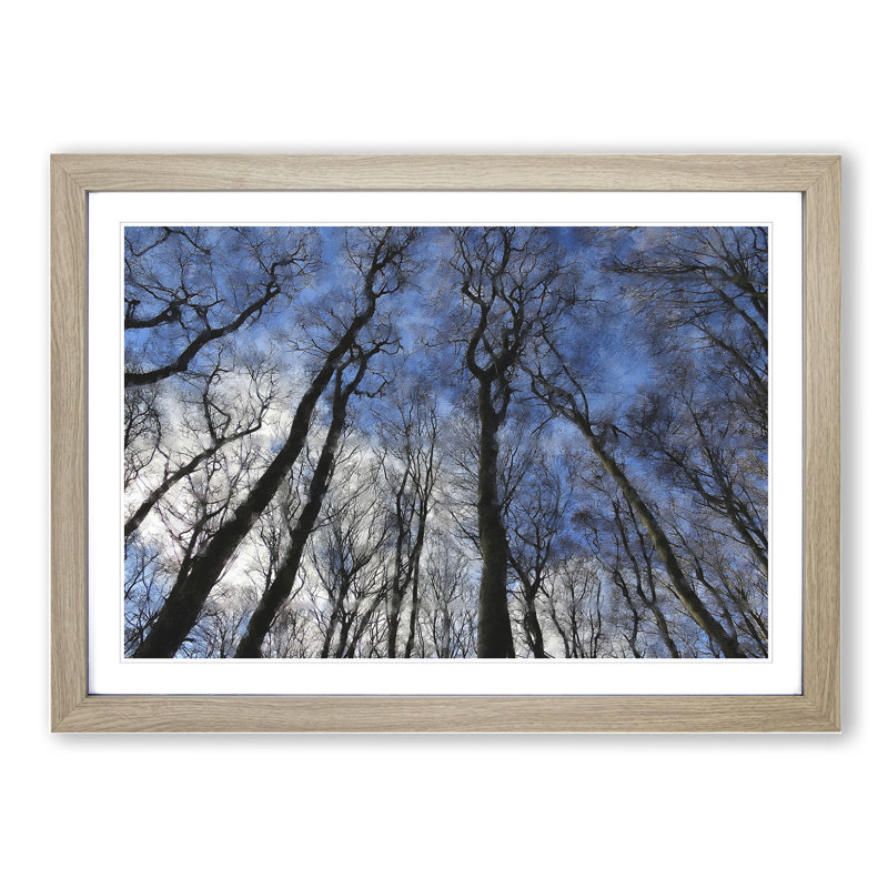 Beautiful Forest - Picture Frame Painting, Oak Framed, 27cm H x 36cm W x 2cm D