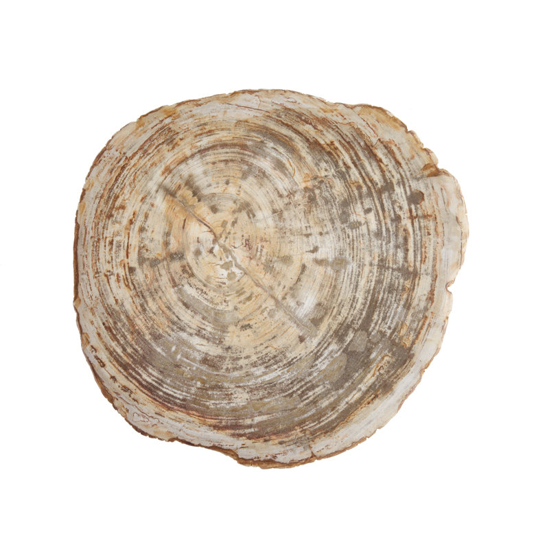 D&V Sylvie Slice Cheese Board & Platter