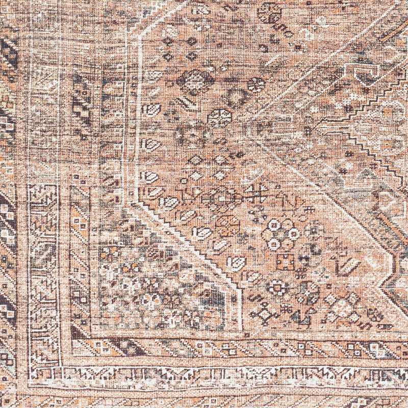 Theia Oriental Area Rug, Rectangle 160 x 220cm