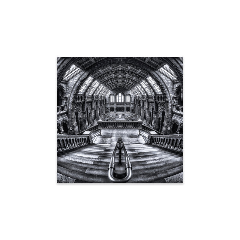 " Harry Potter Meets Escher And Darwin " by Massimo Cuomo