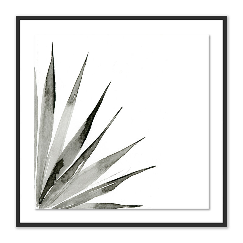 «Agave II» par Jess Engle, reproduction d'art encadrée, Noir, H 30 po x l 40 po x P 2,5 po