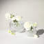 Waterford Mastercraft Irish Lace Rose Bowl