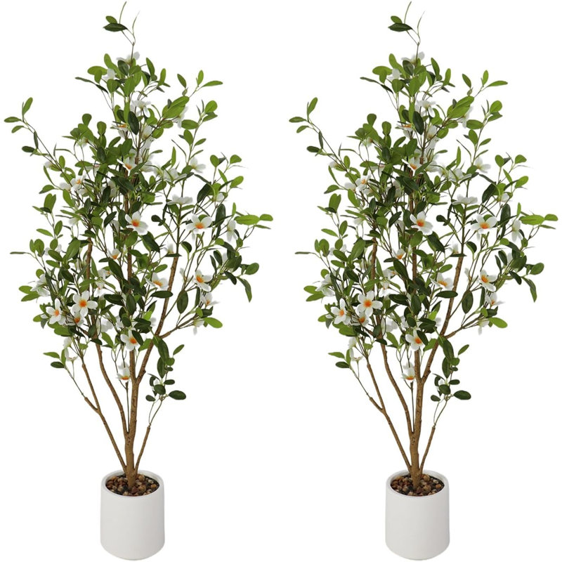 120cm Plant
