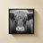 Cow Nose BW