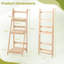 Plant Stand
