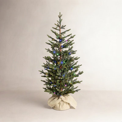5'Dual LED Sapling Spruce Tree in Burlap