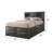 Elyne Bookcase Storage Bed-1690148628