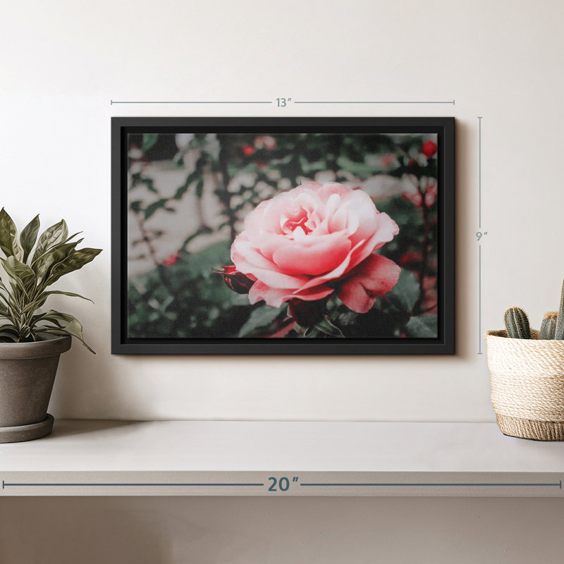 Impression sur toile rose rose, H 9 po x l 13 po