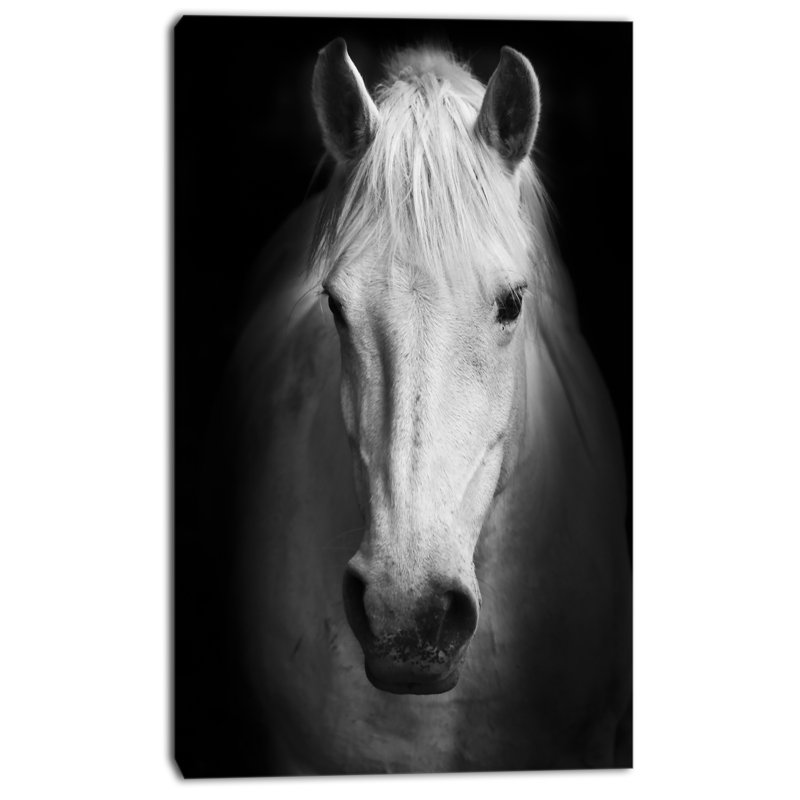 Cheval, reproduction d'art sur toile, cheval noir et blanc, H 60 po x l 28 po, Toile tendue, Sans cadre