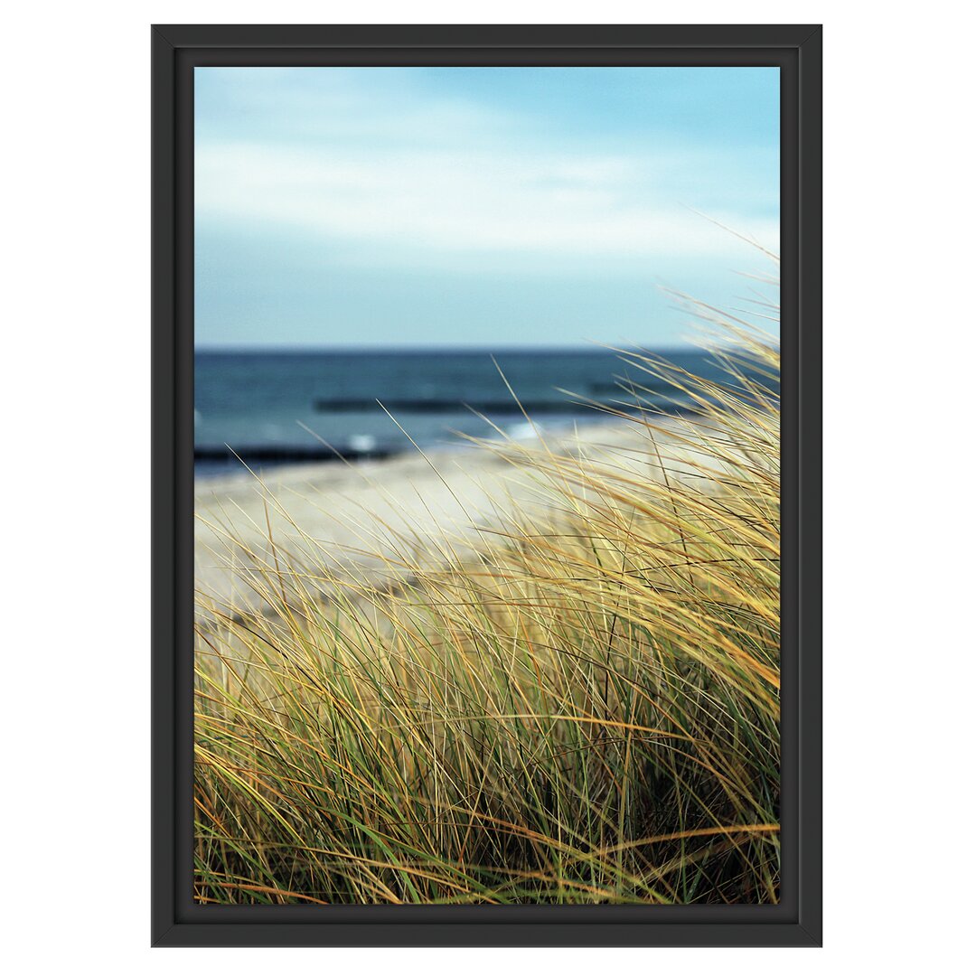 Gerahmtes Wandbild Sanddünen mit Schilfgras am Meer