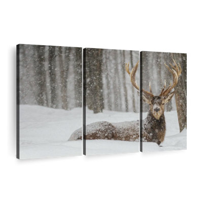 «Snow Covered Elk», 3 pièces sur toile