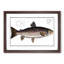 Brown Trout Fish by M.E. Bloch - Picture Frame Art Print-55681111-55681114