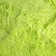 Tapis vert lime Plush