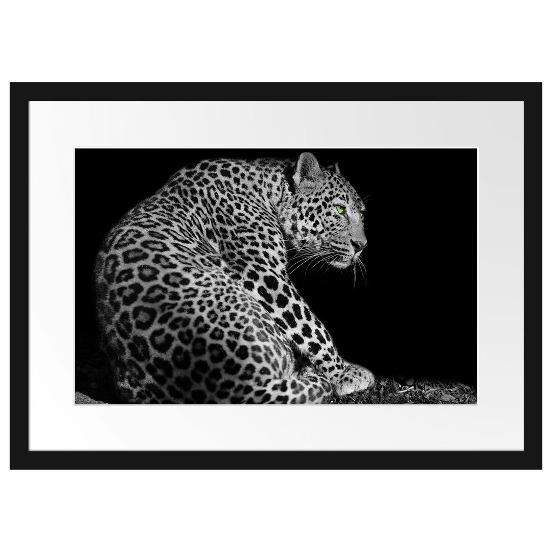 Gerahmtes Poster Dark wunderschöner Leopard