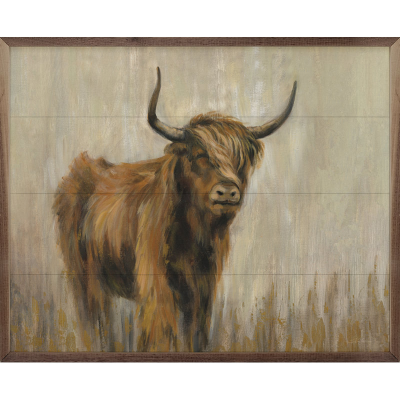 Highland Mountain Cow par Silvia Vassileva, H 16 po x l 20 po