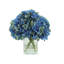 Hydrangea in Blue