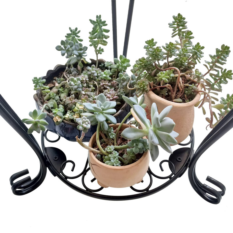 Ensemble de 2 grandes plantes en métal