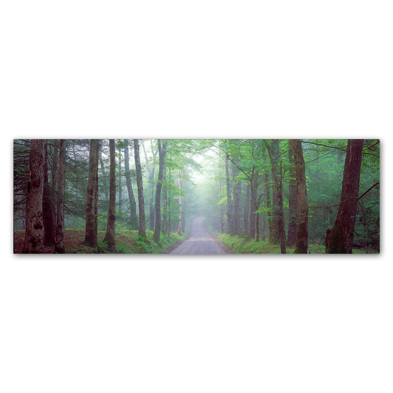 Albans «Tree Panorama», reproduction de photo sur toile tendue, H 6 po x l 19 po