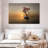 Mehar Tree Moored Boat-107496862