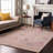 Premium Machine Washable Colmenero AMF1009 Oriental Rug-1930931565