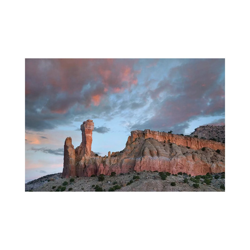 Pine Tree At Night, Mount , Wichita Mountains Nwr, Oklahoma 1 Piece Wall Art on Canvas