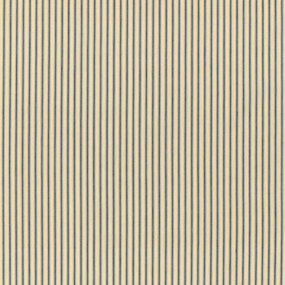 Wellfleet Ticking Stripe Fabric