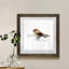 Mixed signaux I-reproduction de peinture encadrée sur papier-149679626-149679627